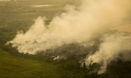 FAB realiza três voos no Pantanal para combater queimadas