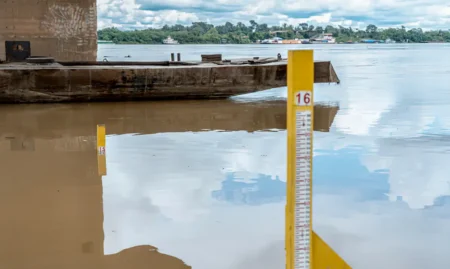 Seca severa na Amazônia: alerta de especialista