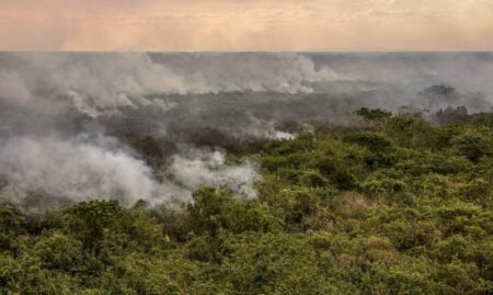 Estudo alerta para crise hídrica histórica no Pantanal em 2024