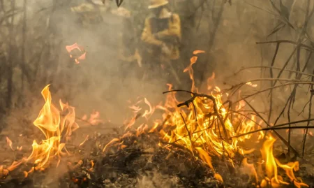 Governo destina R$ 137,6 mi para combate a queimadas no Pantanal