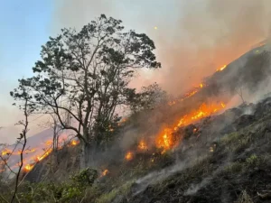 Brasil envia bombeiros para combater incêndios na Bolívia