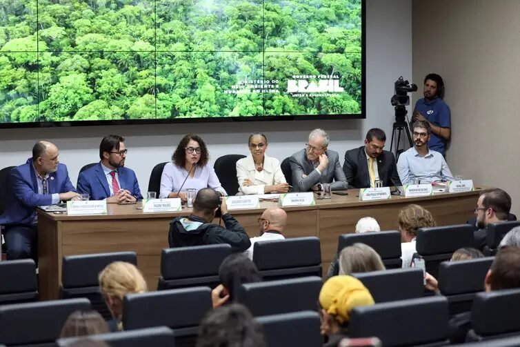 Imagem de divulgação de dados de alertas de desmatamento