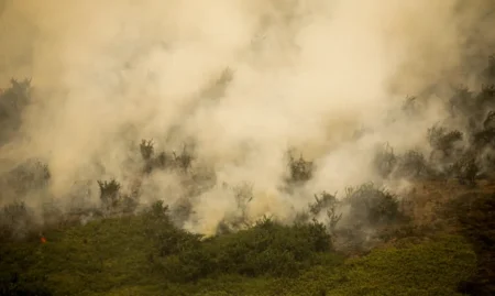 Alerta da Defesa Civil para incêndios em SP.