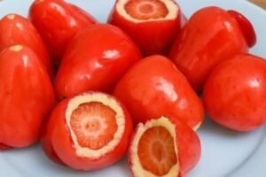 Conselho de Odontologia alerta para riscos do morango do amor