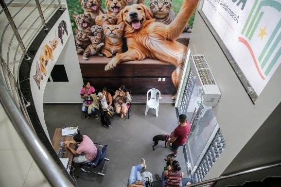 Programa de Bem-Estar Animal faz mais de 10 mil atendimentos gratuitos em Roraima